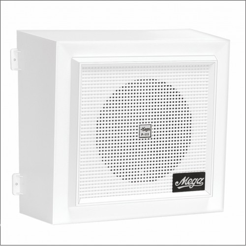 P 111 T Wall Speakers